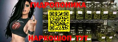 дурь Гай