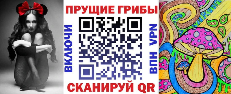 Галлюциногенные грибы GOLDEN TEACHER  darknet клад  Сокол 