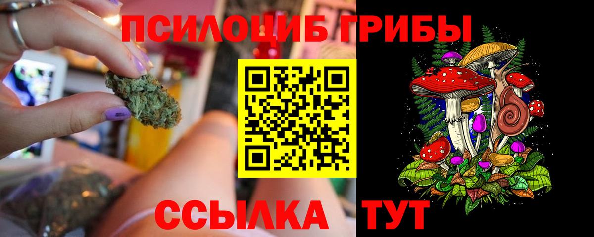 Псилоцибиновые грибы Cubensis Сокол