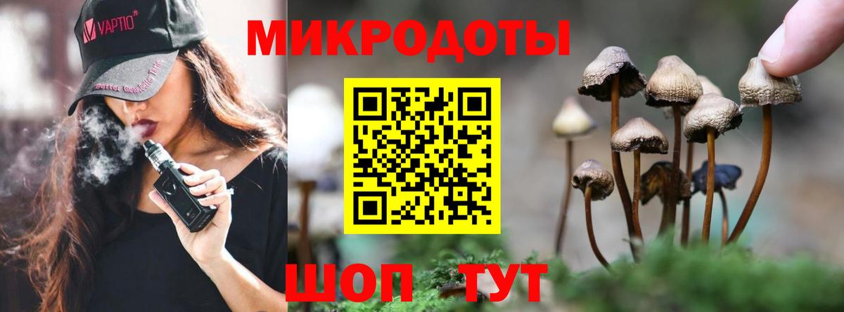 Галлюциногенные грибы мицелий  Галлюциногенные грибы мицелий  Сокол  Вход с VPN 
